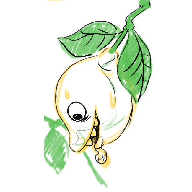 Lemon Sketch