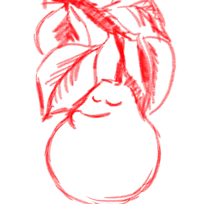 Pear Sketch
