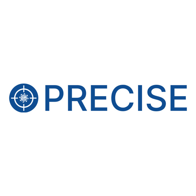 Precise Logo